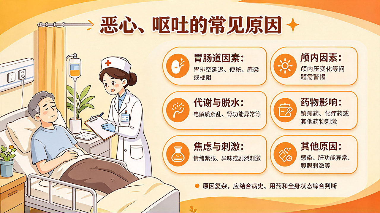 临终患者恶心、呕吐怎么处理？原因与止吐方法